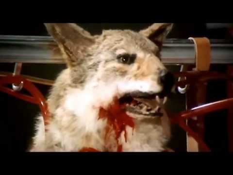 Lucio Fulci - (1971) Una Lucertola con la Pelle di Donna