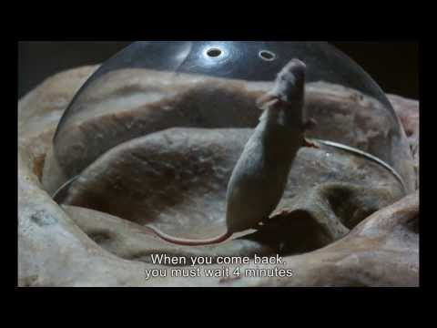 JE T&#039;AIME, JE T&#039;AIME (1968) Original French Trailer [Film Desk / Bleeding Light Film Group]