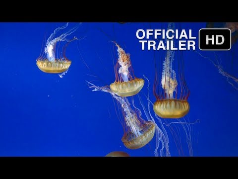 The Living Sea - Official IMAX Trailer - HD music by Sting