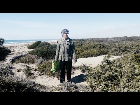 Il poeta perduto | Trailer | Indiecinema