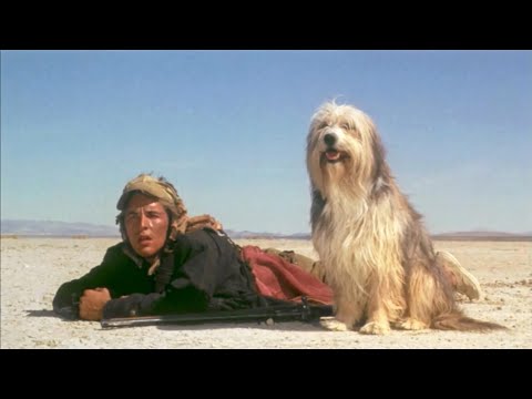 A Boy And His Dog Official Trailer