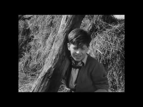 DOLINA MIRU - Napovednik