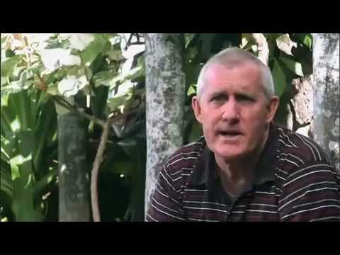 BUSTIN DOWN THE DOOR Official TRAILER